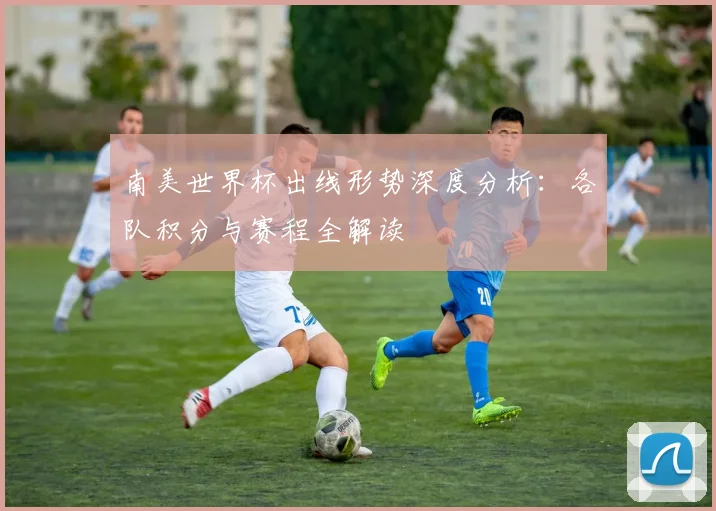 南美世界杯出线形势深度分析：各队积分与赛程全解读