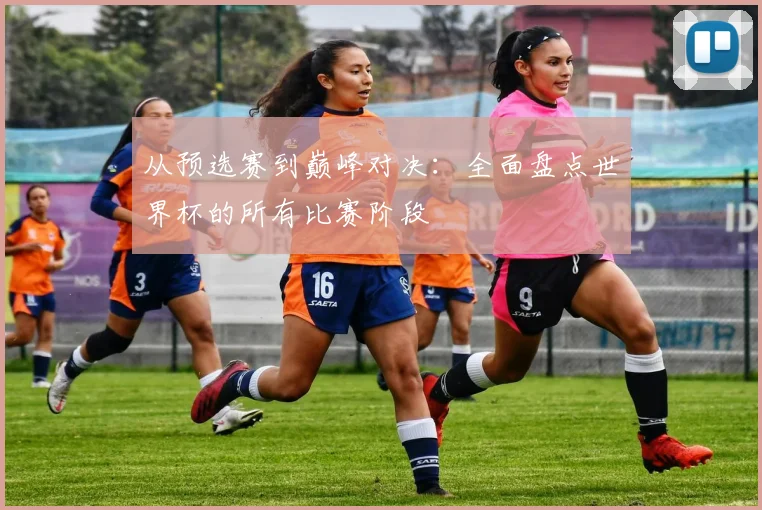 从预选赛到巅峰对决：全面盘点世界杯的所有比赛阶段