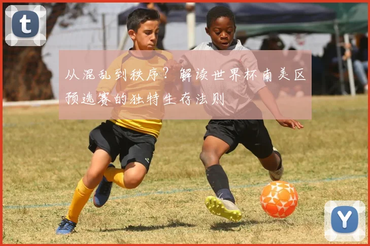 从混乱到秩序？解读世界杯南美区预选赛的独特生存法则