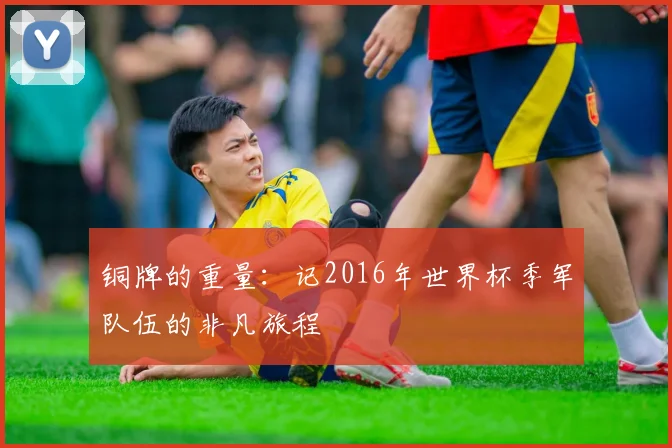 铜牌的重量：记2016年世界杯季军队伍的非凡旅程