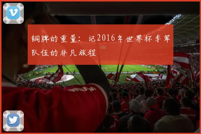 铜牌的重量：记2016年世界杯季军队伍的非凡旅程