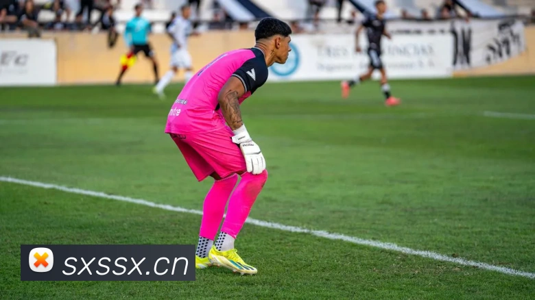 开云在线官方网站APP 体育赛事宣传图